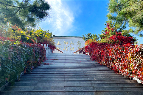 河北灵山宝塔陵园什么时候建立的，是合法公墓吗？陵园如何