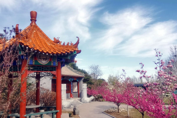 灵山宝塔陵园2025年11月价格一览表终于官宣公开了