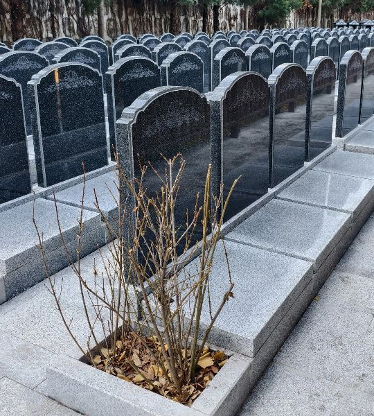 福泽园西六B区双穴立碑