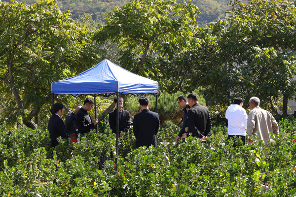 北京合法陵园后期服务指南：流程清晰，家属省心无忧