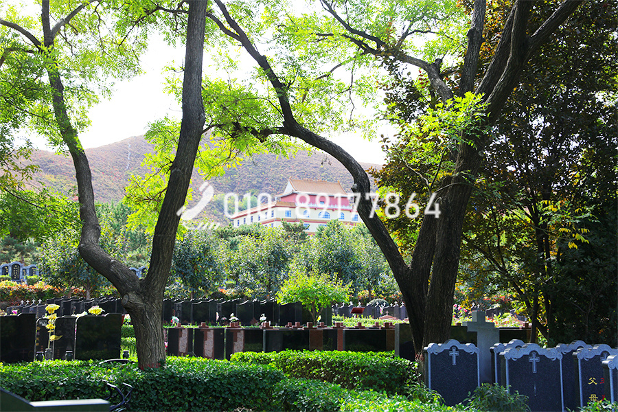 陵园风景
