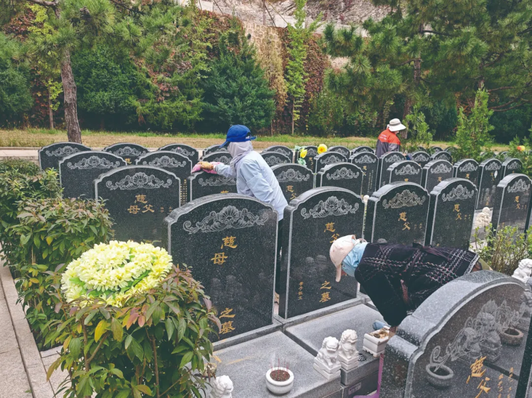 墓区保洁 墓区保洁