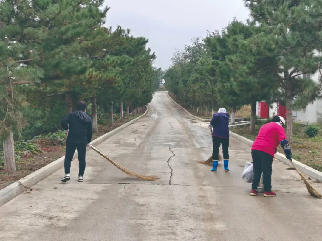 墓区清理 墓区清理