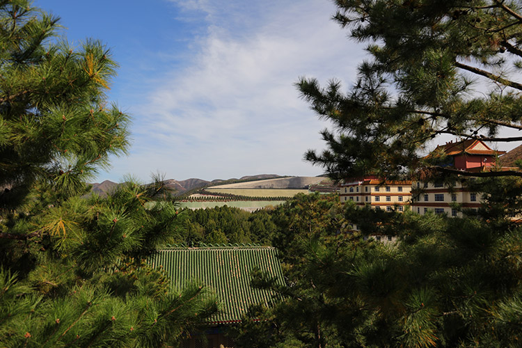 苍松翠柏掩映下的灵山宝塔陵园 苍松翠柏掩映下的灵山宝塔陵园