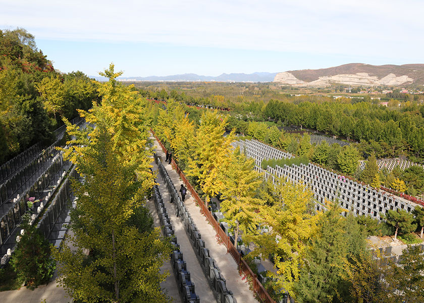 灵山宝塔陵园墓区环境 灵山宝塔陵园墓区环境