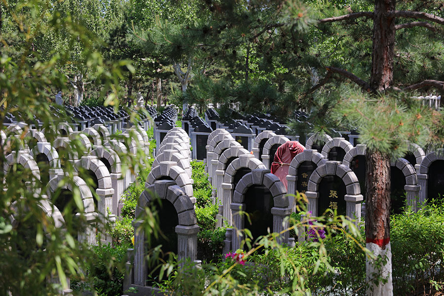 世尊园墓区环境 世尊园墓区环境