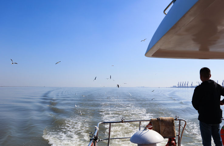 海葬船在行驶中 海葬船在行驶中