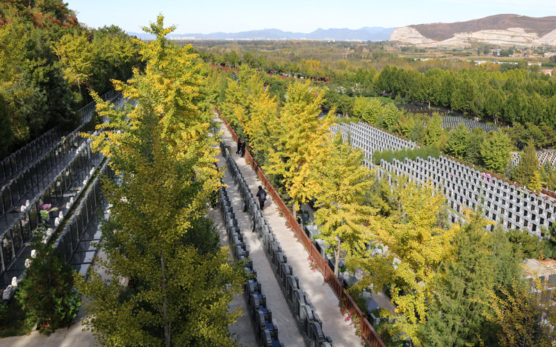 灵山宝塔陵园墓区环境实拍