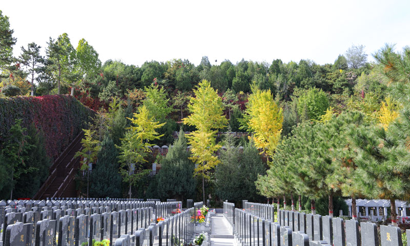 灵山宝塔陵园众多墓区中的一个