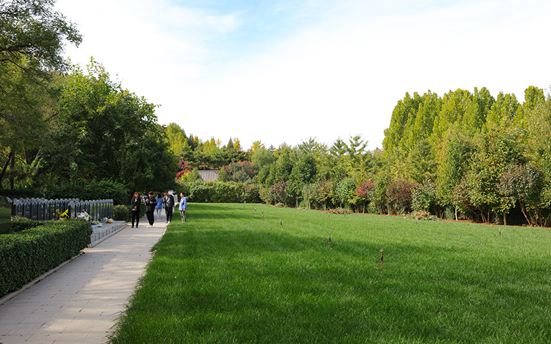 灵山宝塔陵园墓区环境实拍