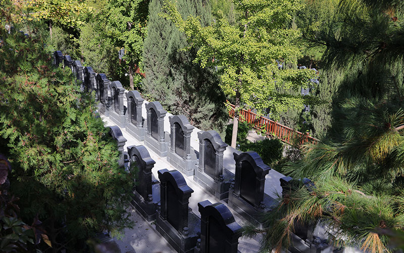 官帽立碑墓区-苍松翠柏 官帽立碑墓区-苍松翠柏