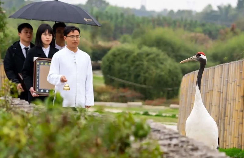 安葬仪式 安葬仪式