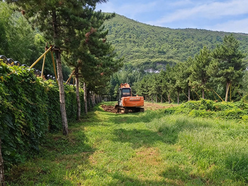 灵山宝塔陵园正在建设新墓区一 灵山宝塔陵园正在建设新墓区一